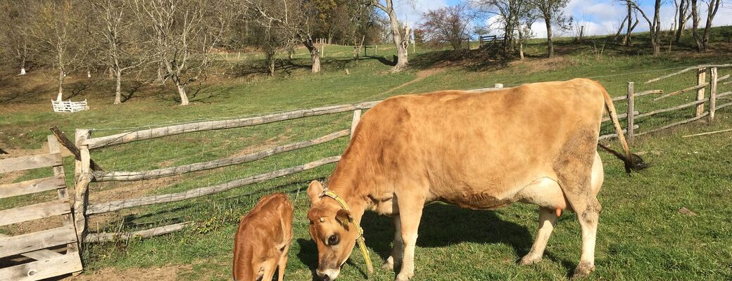 Na jeden deň ako farmár na farme Basket