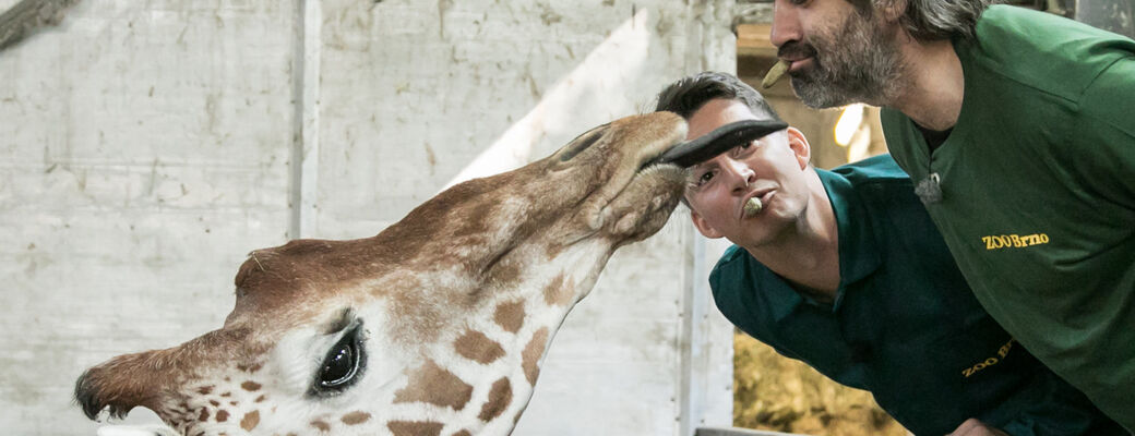 Bozkávaš ako Kohino :)