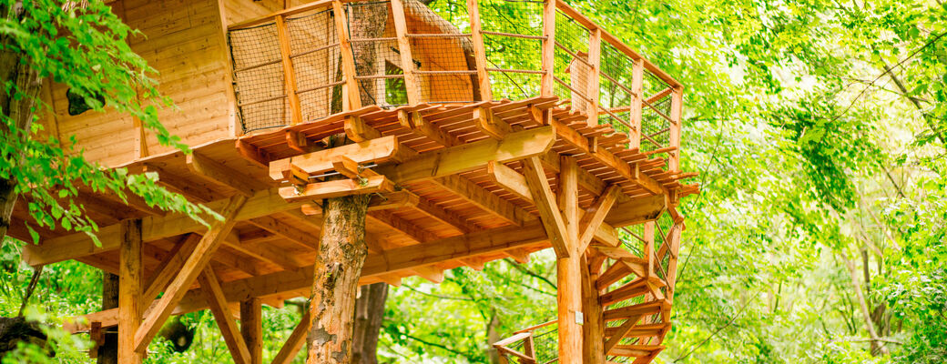 Vitajte vo svojom domčeku na strome