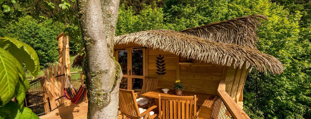 Ubytovanie v domčeku na strome
