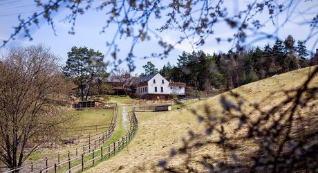 Farma je obklopená miernymi svahmi a pastvinami.