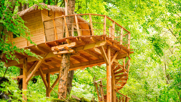 Vitajte vo svojom domčeku na strome