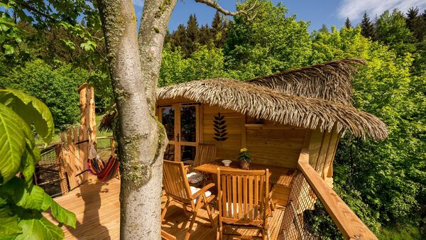 Ubytovanie v domčeku na strome