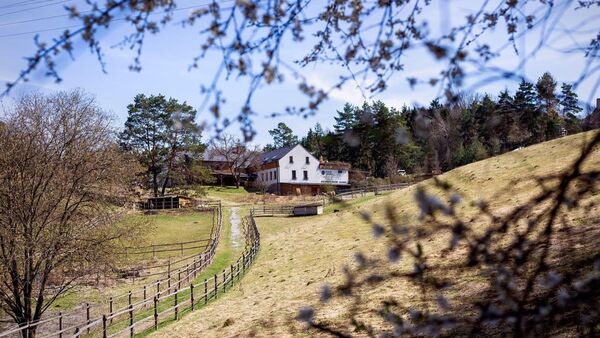 Farma je obklopená miernymi svahmi a pastvinami.