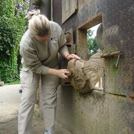 Monika Vavřinová (27) na Ošetrovatelia v zoologickej záhrade