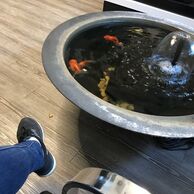 účastník zážitku (Boskovice, 26) na Kráľovskej thajskej masáži