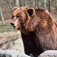 Irena Jiroušková (Jičín, 52) na Ošetrovatelia v zoologickej záhrade