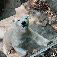 Eva Výsmekova (Třebíč, 34) na Ošetrovatelia v zoologickej záhrade