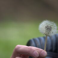 účastník zážitku (Brantice, 18) na Základnom kurze fotografovania