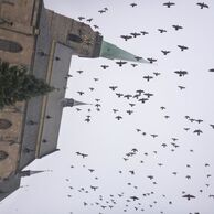 účastník zážitku (Plzeň, 52) na Základnom kurze fotografovania