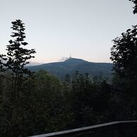 účastník zážitku (Praha, 34) na Romantický pobyt v Treehouse