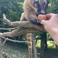 účastník zážitku (Žďár nad Sázavou, 48) na Ošetrovatelia v zoologickej záhrade